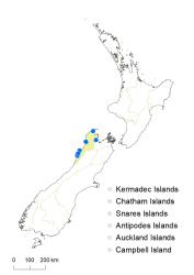 Veronica townsonii distribution map based on databased records at AK, CHR & WELT.
 Image: K.Boardman © Landcare Research 2022 CC-BY 4.0